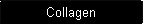 Collagen