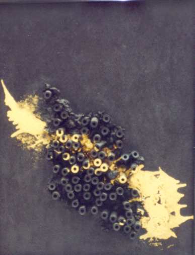Nacht