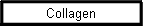 Collagen
